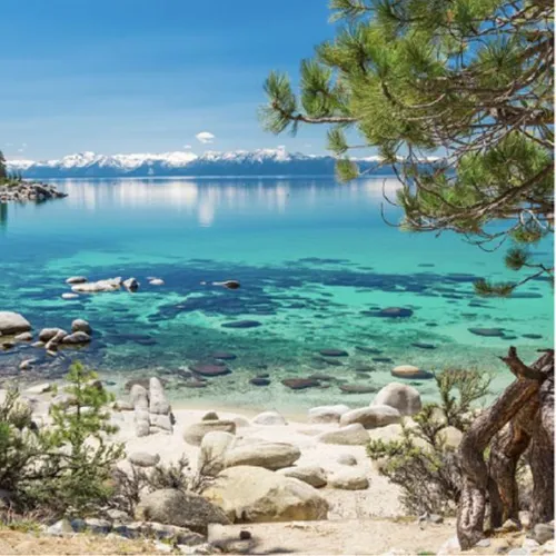 Graphic Lake Tahoe Winter (10' x 10')