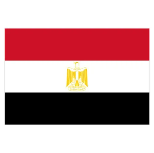 Egypt Flag - Small