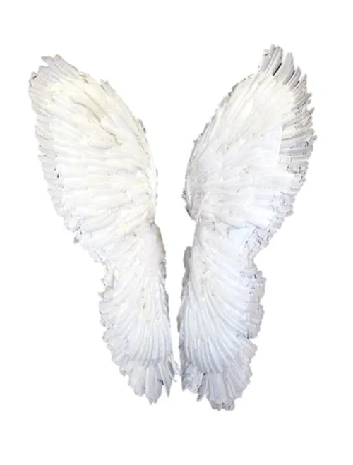 Angel Wings
