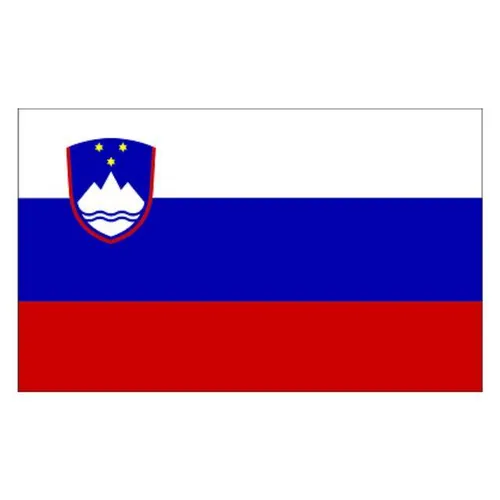 Slovenia Flag - Small
