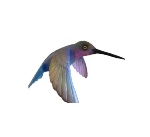 Giant Hummingbird