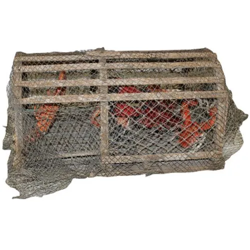 Lobster Trap
