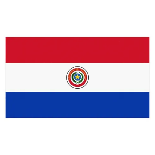 Paraguay Flag - Small