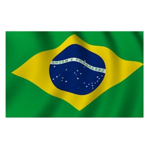 Brazil Flag - Small