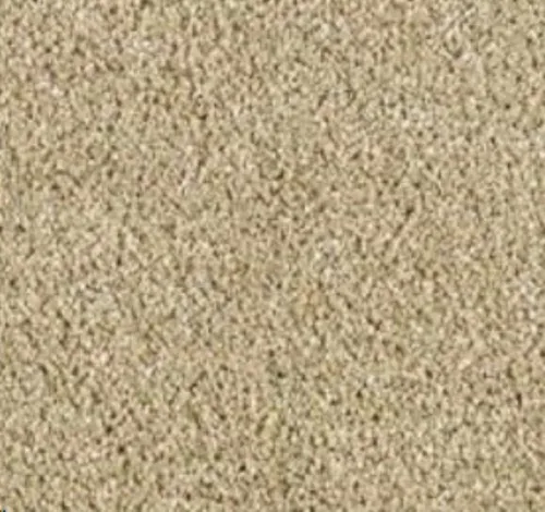 Beige Carpet