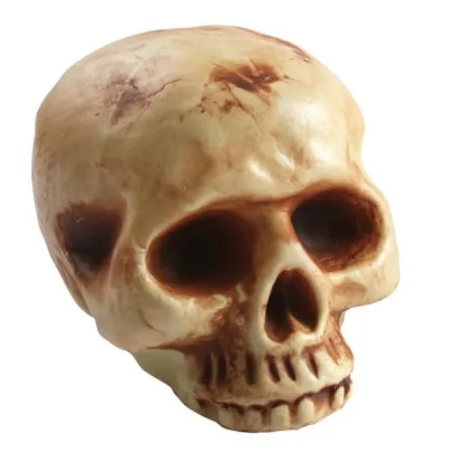 Skull Large