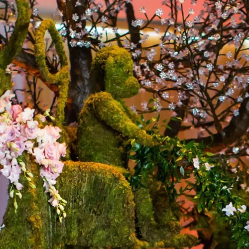 Moss Monkey
