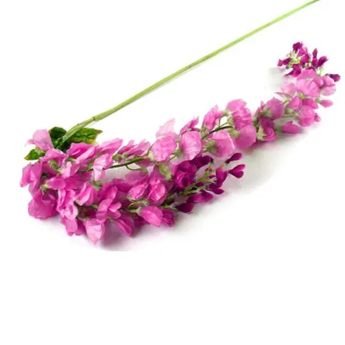 Wisteria- Fuchsia