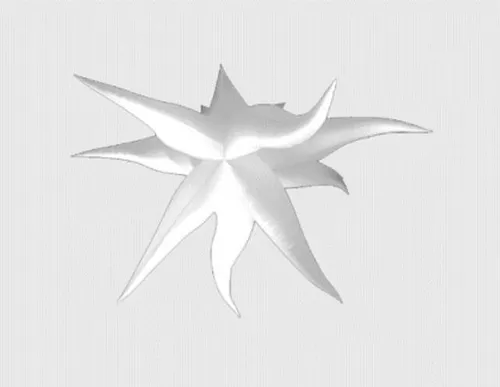 Lily Star