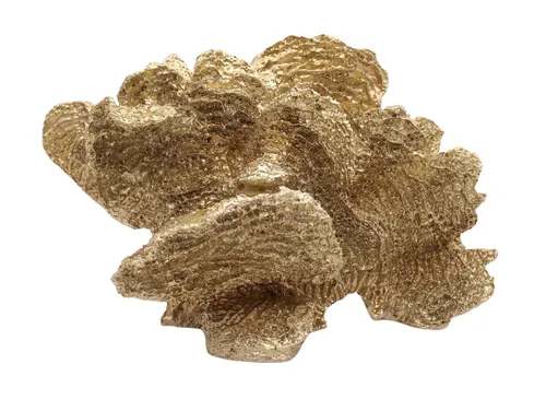 Gold Coral