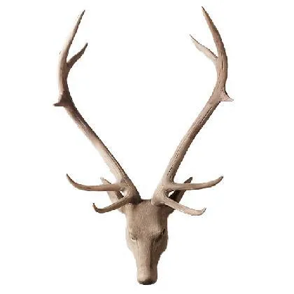 Stag Head