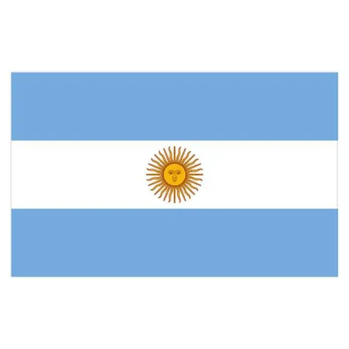 Argentina Flag - Small
