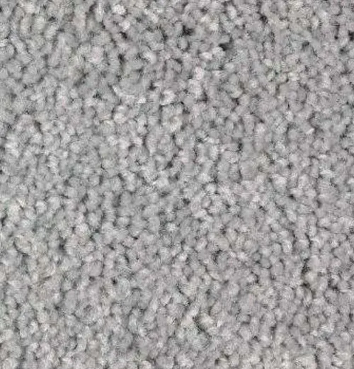 Gray Carpet