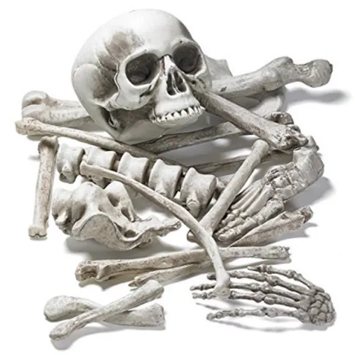 Bones and Skull Set