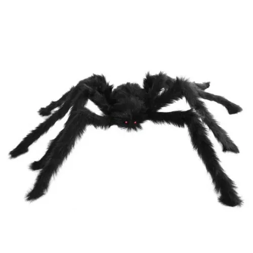 Spider - Medium