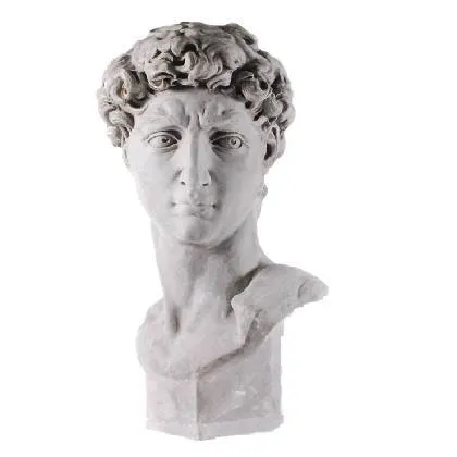 David Bust