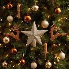 Ornament & String Lighting Package