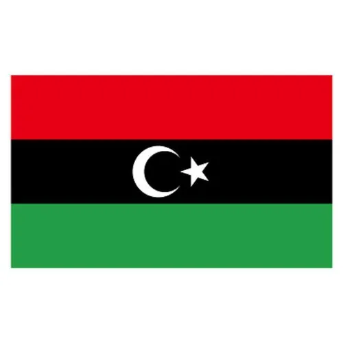 Lybia Flag - Small