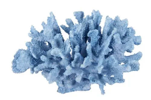 Coral - Light Blue