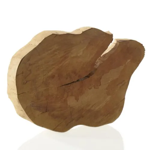 Wood Tree Slices
