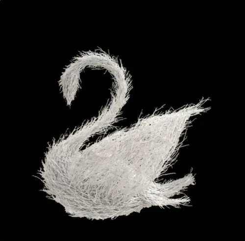 Manzanita Swan Black