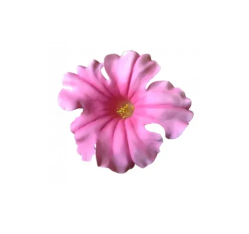 Giant Petunia Flowers