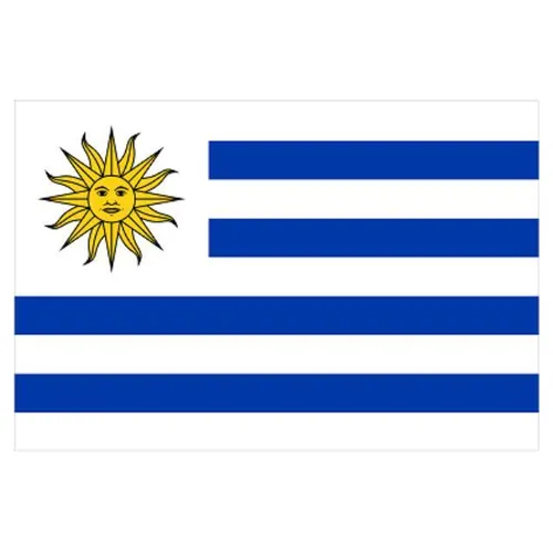 Uruguay Flag - Small