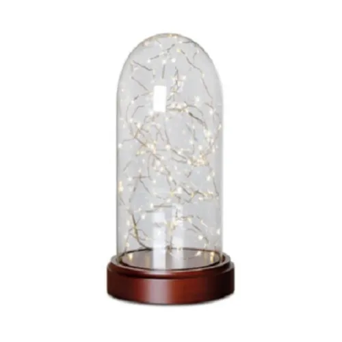 Glass Firefly Cloche - Large