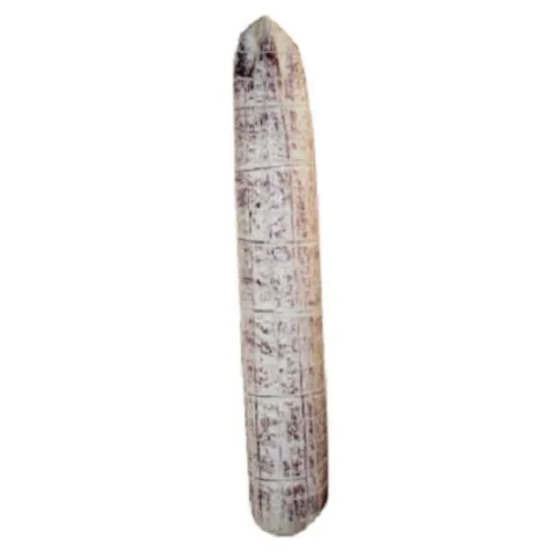 Tivoli Salami