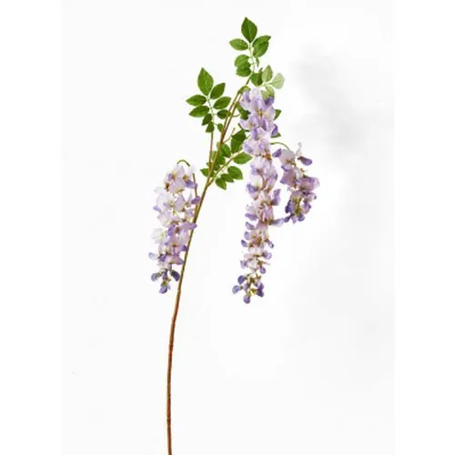 Wisteria Light Violet