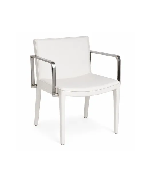 Gecko Arm Chair