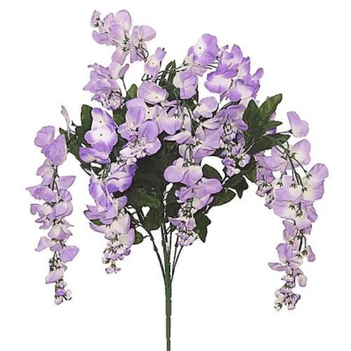 Wisteria Bush- Light Violet