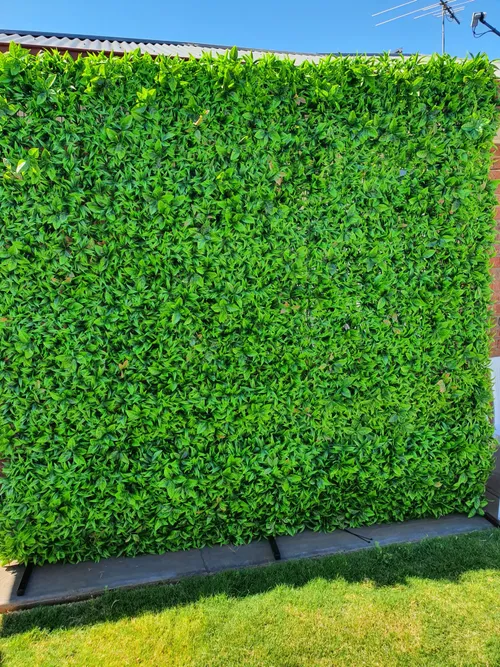 Green Wall
