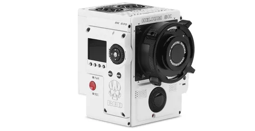 RED DRAGON [ FULL BODY SETUP ]