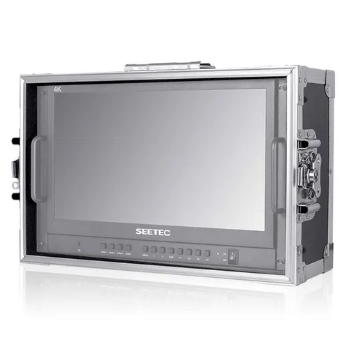 SEETEC DIRECTOR MONITER