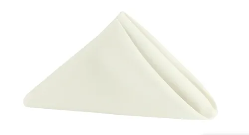 Napkins (Set of 10)