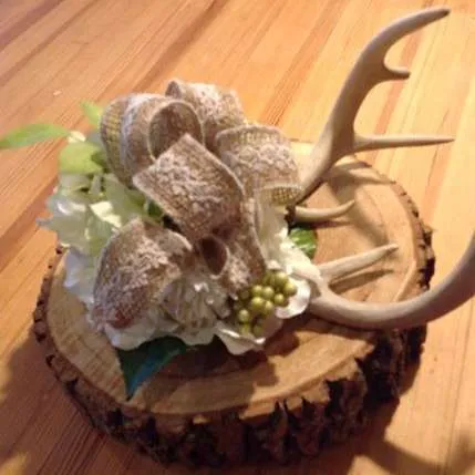 Whitetail Decorated Antlers