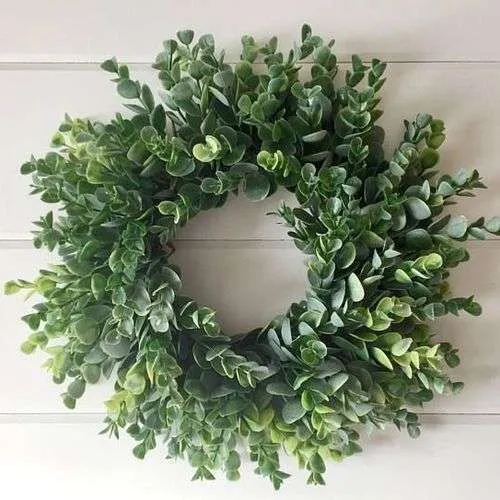 Wreath Eucalyptus Small