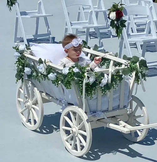 Rustic Antique Decorated Wagon Goat Cart