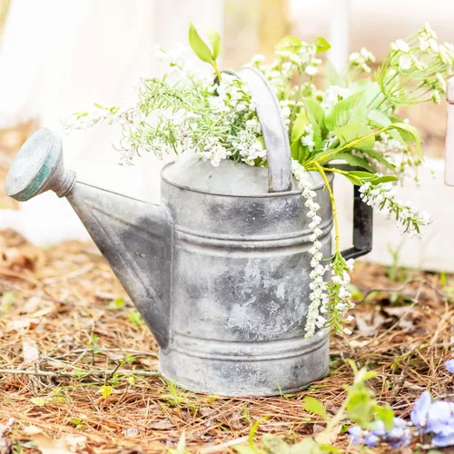  Antique Watering Cans