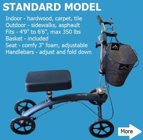 Out of Stock Standard