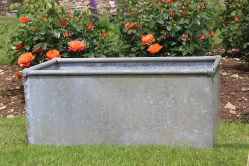 Galvanised Drinks Trough 