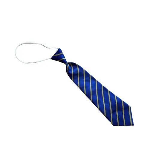 BL150 - SCHOOL TIES 
