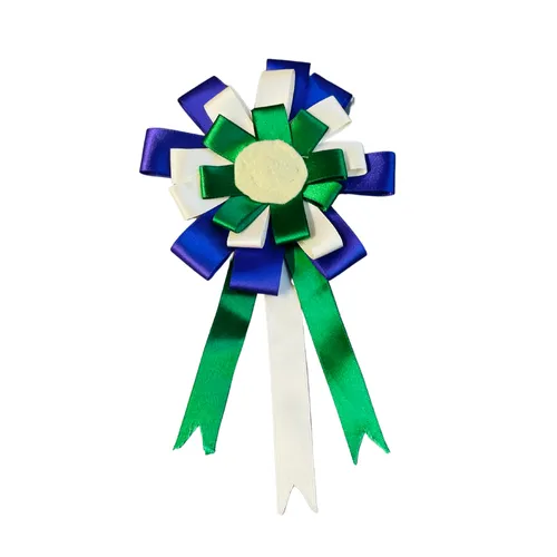 BL146 - SUFFRAGETTES SASH/BADGES 