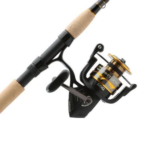 Penn Spinning Combo