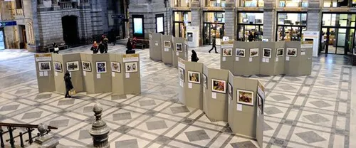 CLIP Display® Expo-panelen