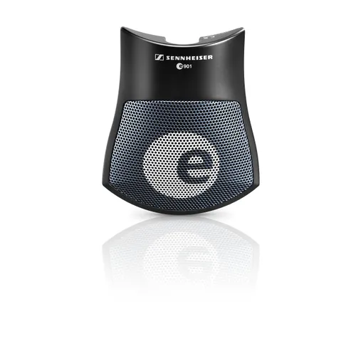 Sennheiser e901