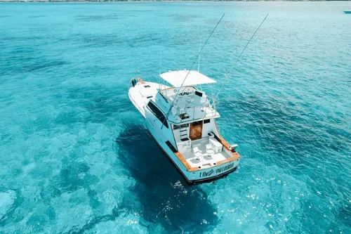 La Patrona - Post 48 ft