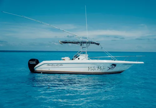 Mahi mahi - Sea Ray 23 ft