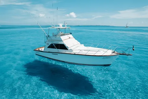 El Patron - Ocean Yatch 46 ft